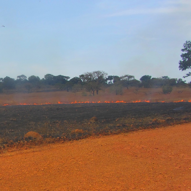 Déforestation (4.1)