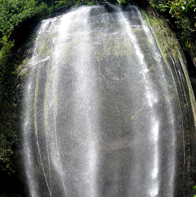 Le voile de la mariée
