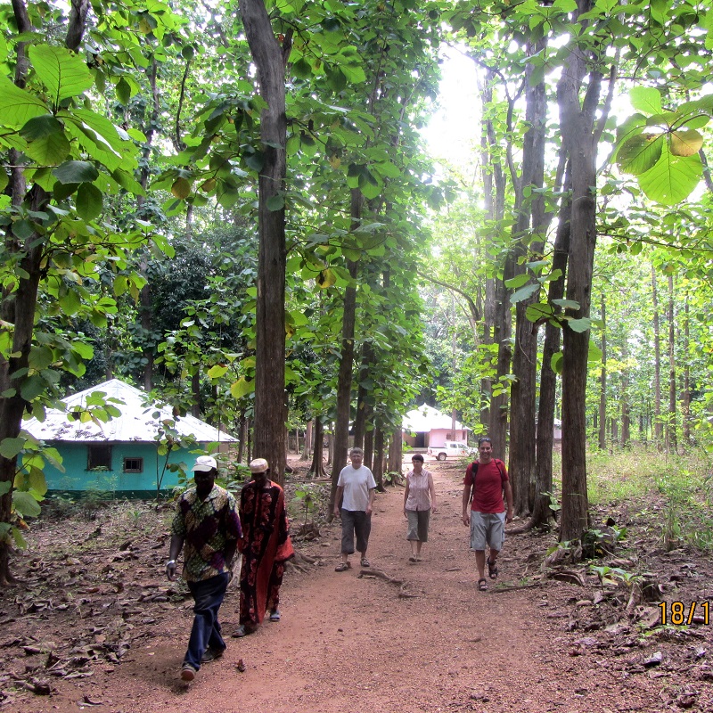 La voie d'entrée  au voile de la mariée