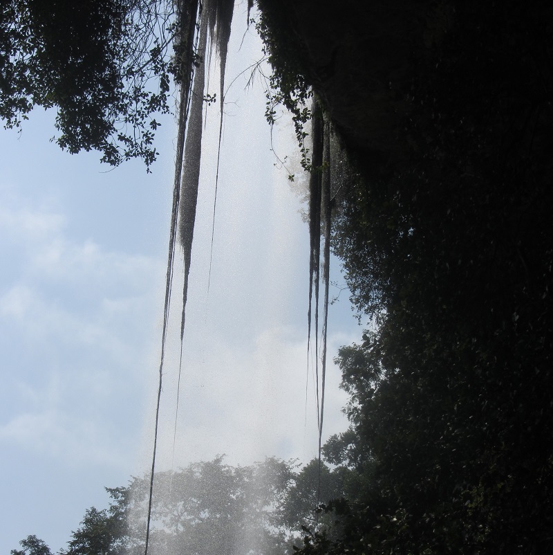 Le voile de la mariée